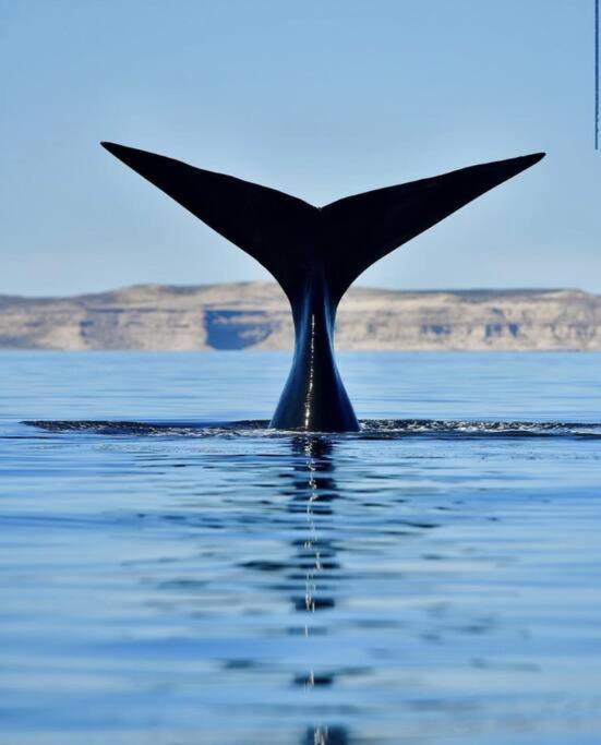 Pequena Casa De Troncos, Detras De Casa Principal No Trabajo Con Tarjeta De Credito Puerto Madryn Esterno foto